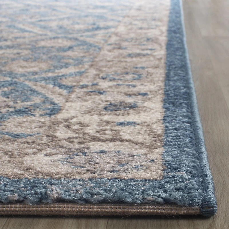 Safavieh Sofia Jerrod Floral Bordered Area Rug