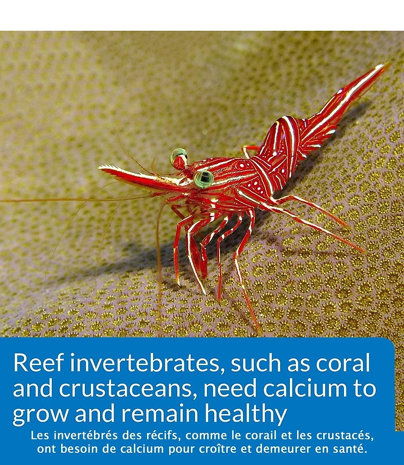 API Saltwater Calcium Test Kit