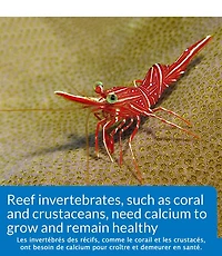 API Saltwater Calcium Test Kit