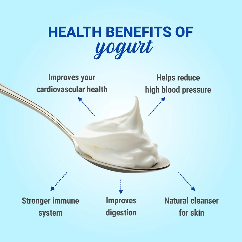 Verka Dahi (Indian Style Yogurt), 1kg