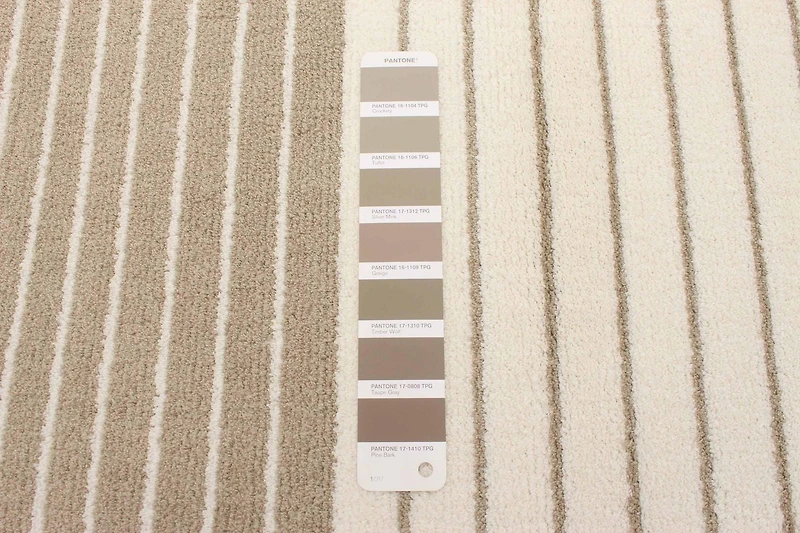 ECARPET Modern Area Rug for Living Room, Dining Room and Bedroom Madison Collection