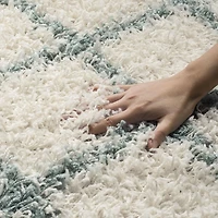 Safavieh Dallas Jerrie Tapis Géométrique Shag