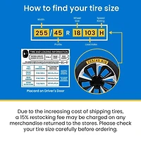Radar  225/65R17 106T Ice Lock Winter Tire