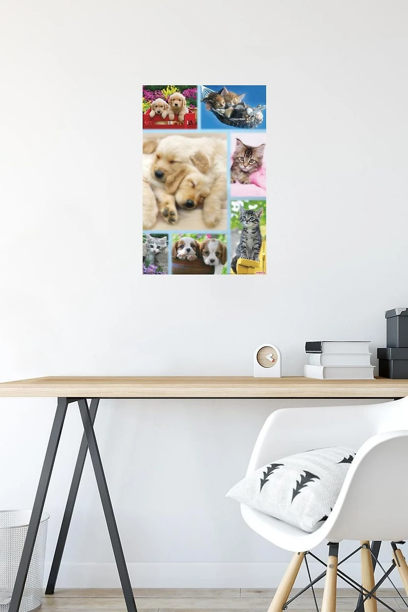 Keith Kimberlin - Collage de chiots et de chatons