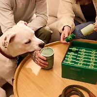 Sacs à crottes de chien antifuite Earth Rated non parfumés et distributeur de sacs à crottes, 900 sacs sur 60 rouleaux de recharge individuels