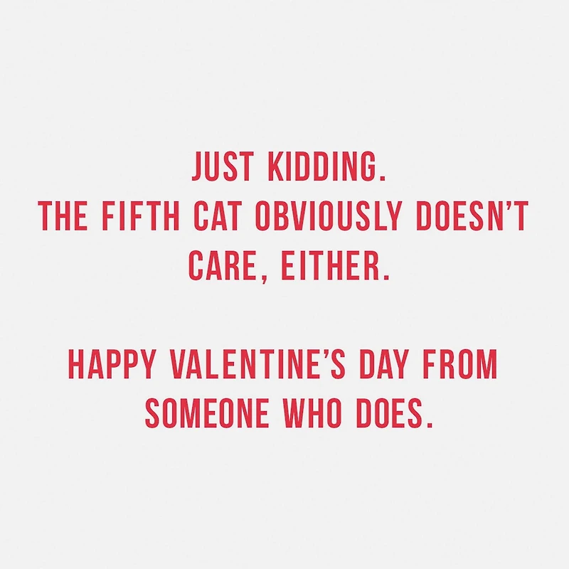 Hallmark Shoebox Pack of 4 Funny Valentine's Day Cards (Cats Don’t Care)
