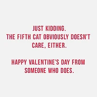 Hallmark Shoebox Pack of 4 Funny Valentine's Day Cards (Cats Don’t Care)