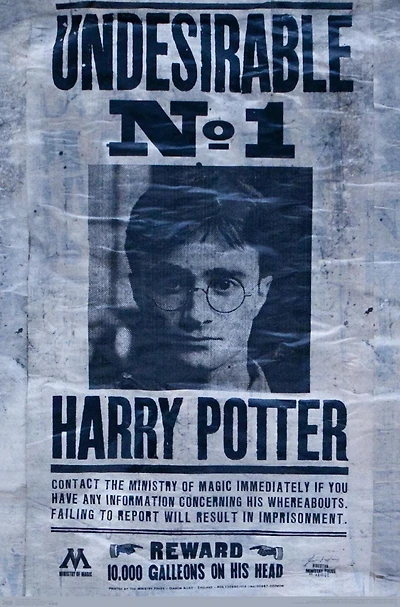Le Monde des Sorciers : Harry Potter - Indésirable