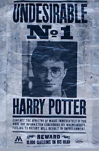 Le Monde des Sorciers : Harry Potter - Indésirable