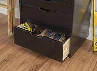 Craydon Eight-Drawer Rolling Storage Cart, Black