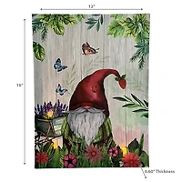 IH Casa Decor Led Toile Wall Art Garden Gnome 12 X 16