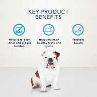 BLUE Bones os dentaires pour chiens grand