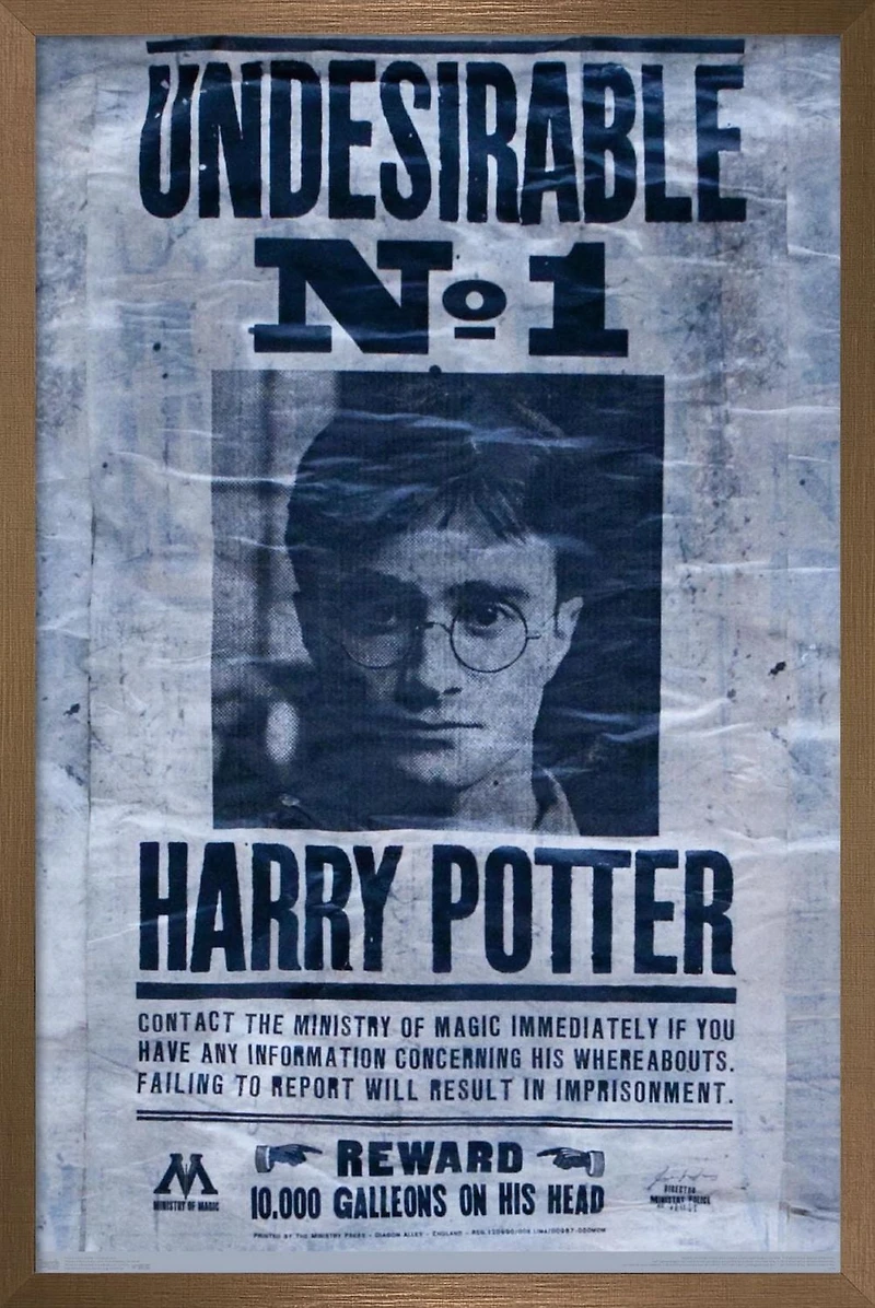 The Wizarding World: Harry Potter - Undesirable Wall Poster