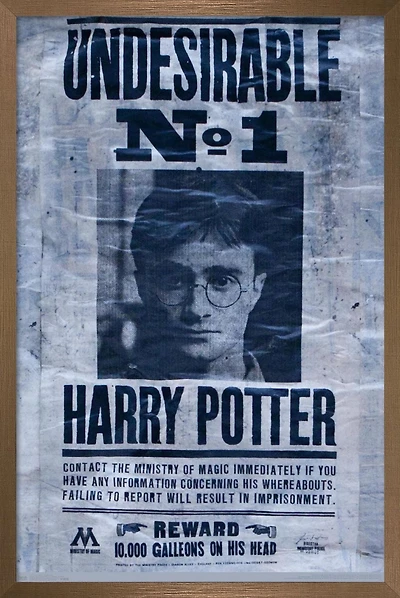 The Wizarding World: Harry Potter - Undesirable Wall Poster