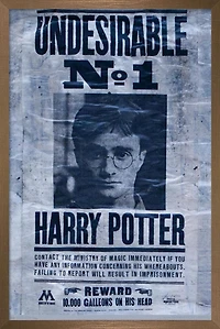 The Wizarding World: Harry Potter - Undesirable Wall Poster