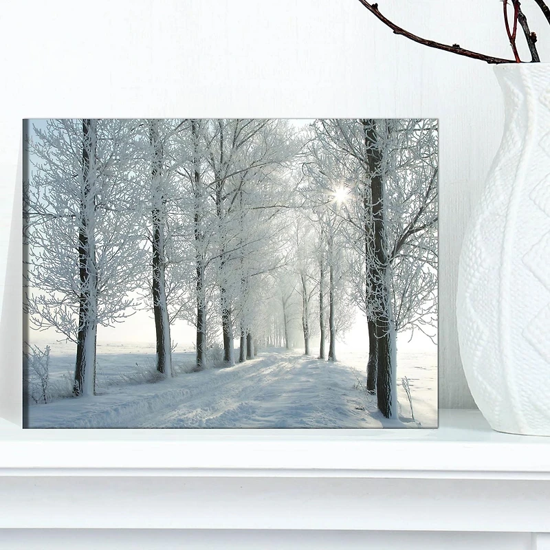 Designart Winter Trees Backlit by Morning Sun Canvas Wall Art