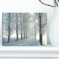 Designart Winter Trees Backlit by Morning Sun Canvas Wall Art