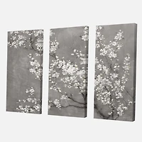 Designart White Cherry Blossoms II Canvas Wall Art