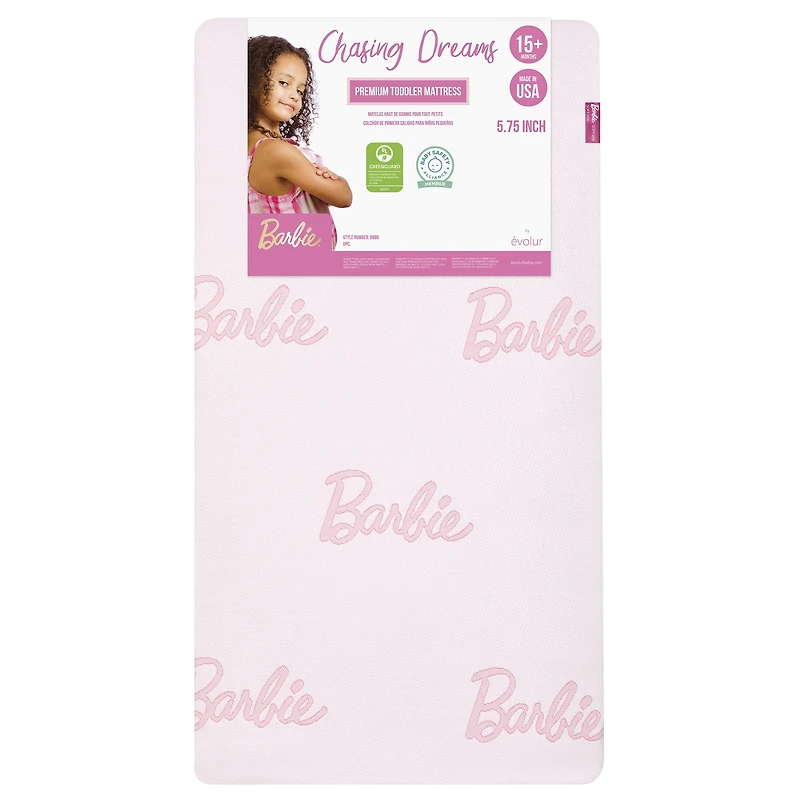 Barbie Chasing Dreams Pink by Dream On Me