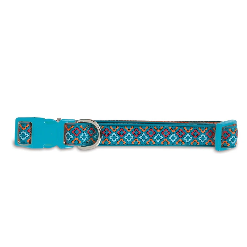 Collier durable Aspen Pet en orange de taille moyenne