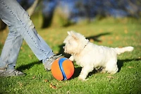 Chuckit! Large Kick Fetch Ball Dog Toy, 8" Large Kick Ball