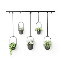 Umbra Triflora Hanging Planter, Set of 5
