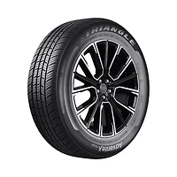 TRIANGLE ADVANTEX TC101 195/55R15 85V pneu