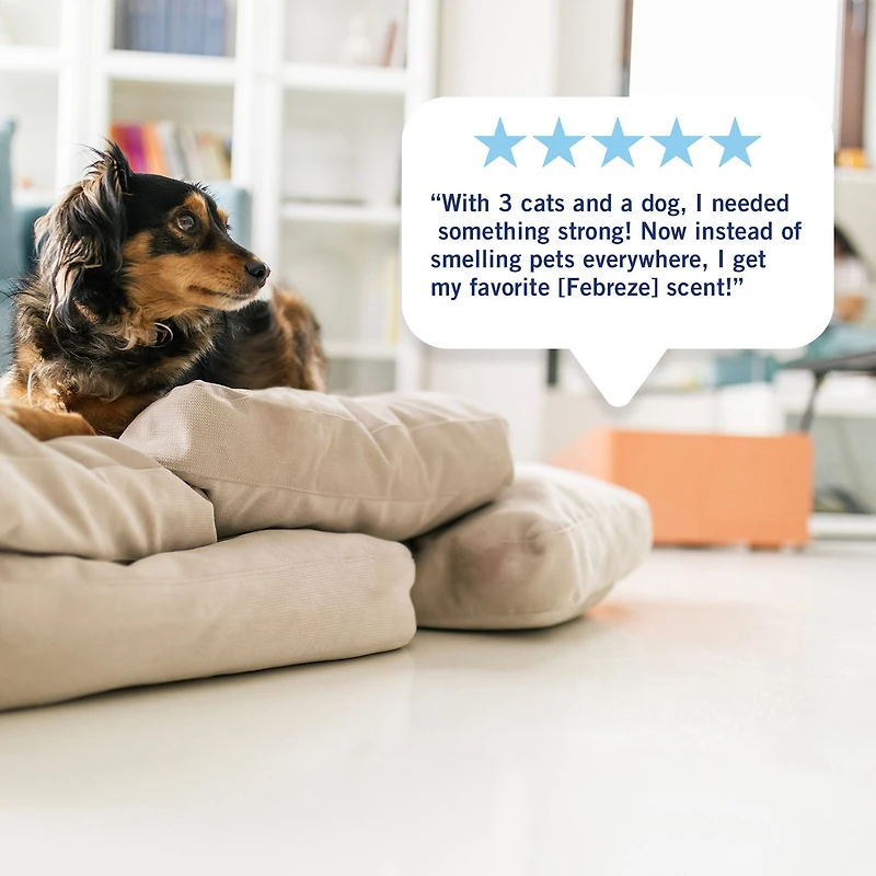 Febreze Plug In Air Freshener, Odor-Fighting Scented Oil Refill, Light Bamboo Scent, 2 Refills, 52ML