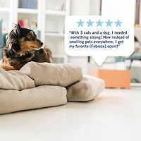 Febreze Plug In Air Freshener, Odor-Fighting Scented Oil Refill, Light Bamboo Scent, 2 Refills, 52ML