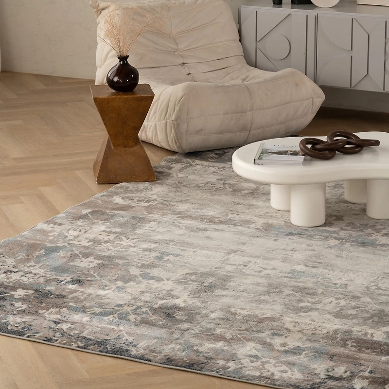 Rug Branch Havana Collection Traditional Distressed Area Rug.