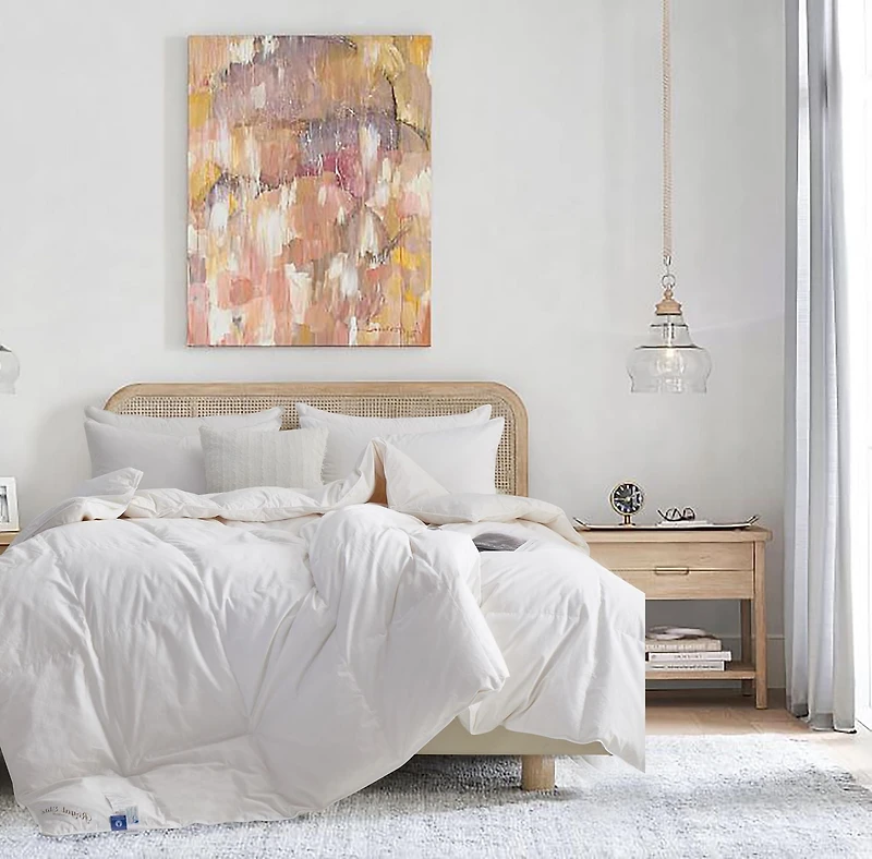 Duvet de oie blanche canadienne de qualité supérieure pour l'hiver