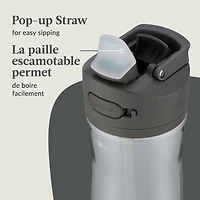 Contigo Ashland 2.0 Leak-Proof Water Bottle with Straw and Carry Handle, BPA-Free, Dishwasher Safe, Sake, 24 oz (709 ml)