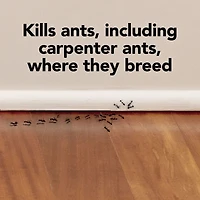Insecticide Raid Max Appâts à fourmis, à l’épreuve des enfants, 4 unités