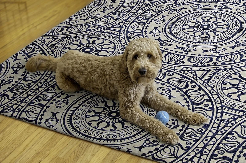 Outdoor Washable Ormond Ivory & Blue 5' x 7' Area Rug
