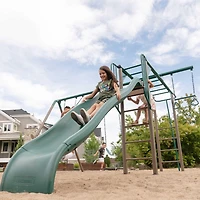 LIFETIME Outdoor Play Monkey Bar Adventure Swingset