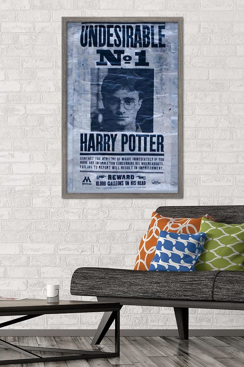 Le Monde des Sorciers : Harry Potter - Indésirable