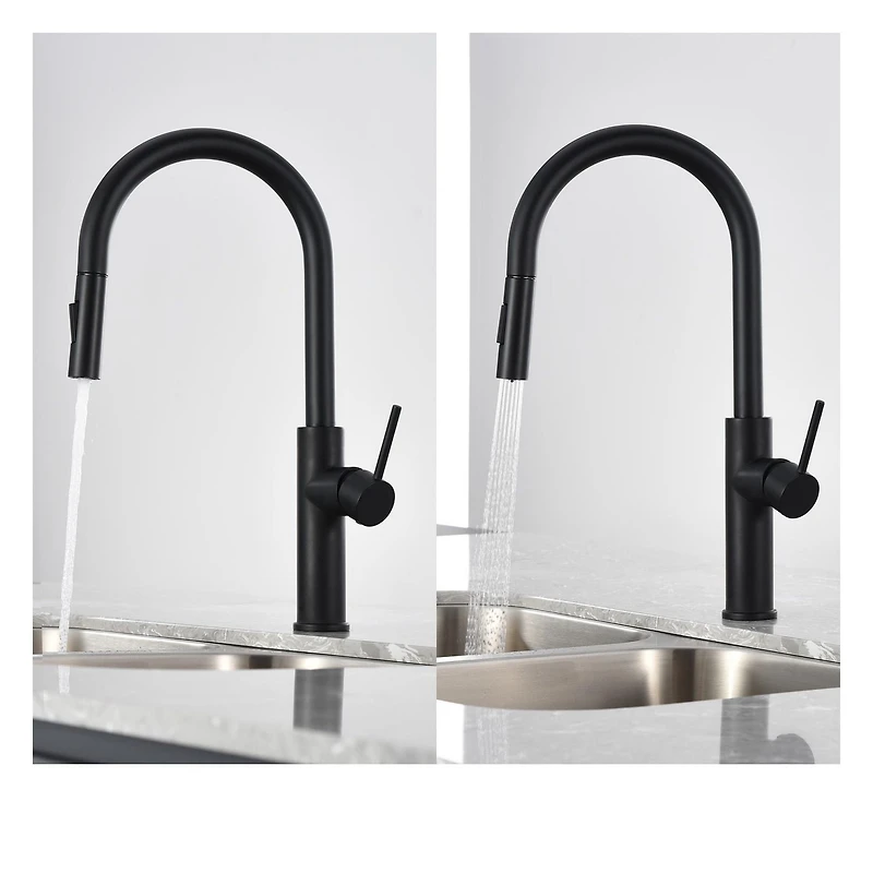 The akuaplus® ABA pull down Kitchen Faucet