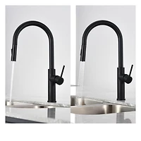 The akuaplus® ABA pull down Kitchen Faucet