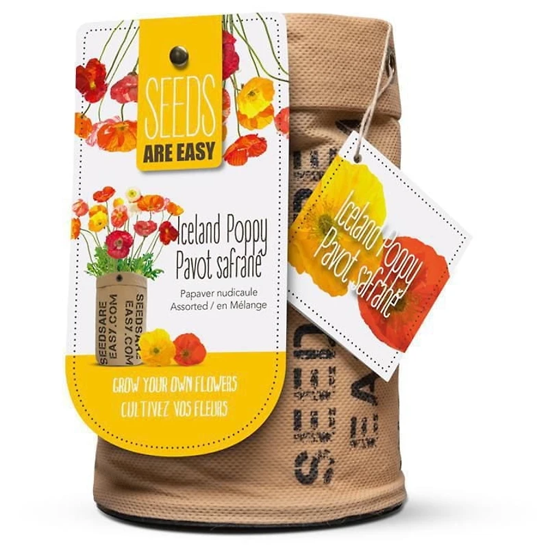 Graines - Pavot safrané