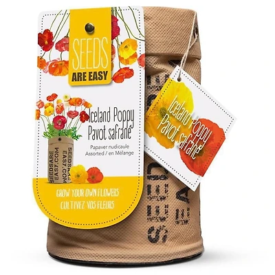 Graines - Pavot safrané