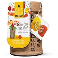 Graines - Pavot safrané