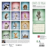 Chats de Yoga 2023 Square FRENCH BTCA