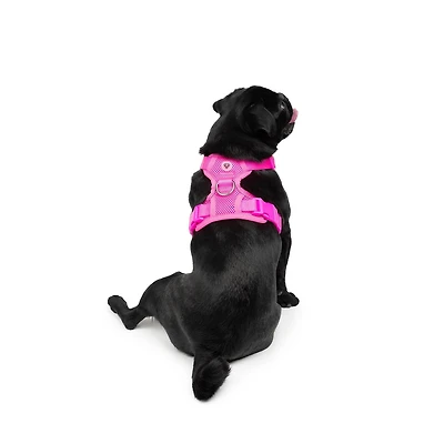 One Paw, Harnais en Mesh Mode pour Chien, Rose, Ajustement Facile et Sécurisé One Paw, Harnais en Mesh Mode