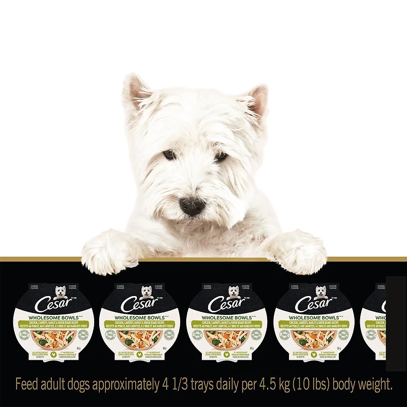 Cesar Wholesome Bowls Chicken, Carrots, Barley & Green Beans Wet Dog Food, 85g