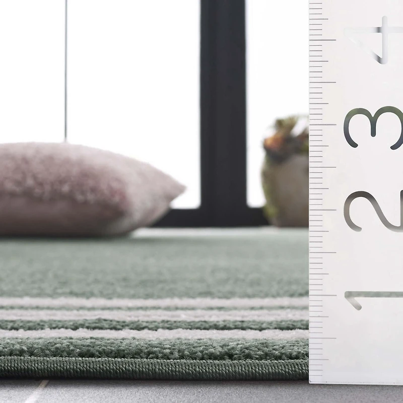 SAFAVIEH Cabana Rado  Bordered Indoor/Outdoor Area Rug