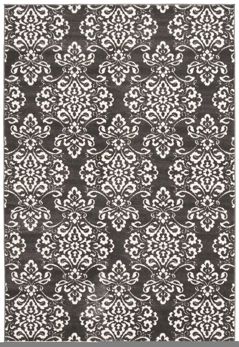 ECARPET Modern Area Rug for Dining Room, Living Room