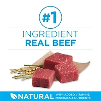 Purina ONE SmartBlend Small Breed Formula Beef, Dry Dog Food, 1.81-3.63 kg