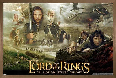 The Lord of the Rings: The Motion Picture Trilogy Wall Poster, 22.375" x 34" Framed