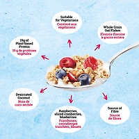 Jordans - Granola protéiné aux baies mélangées, à base de plantes, riche en protéines, source de fibres, sans OGM, fabriqué à partir de grains entiers Grappes de granola protéiné nutritives au goût acidulé avec des framboises, des canneberges tranchées et des bleuets