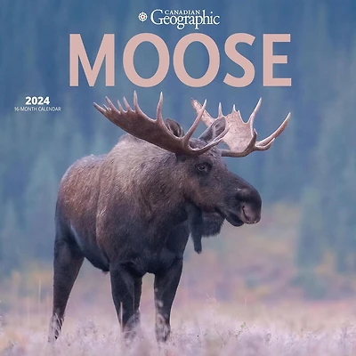 Wyman Publishing Canadian Geographic Moose 2024 12x24 Inch Square Wall Calendar, 9781525611711